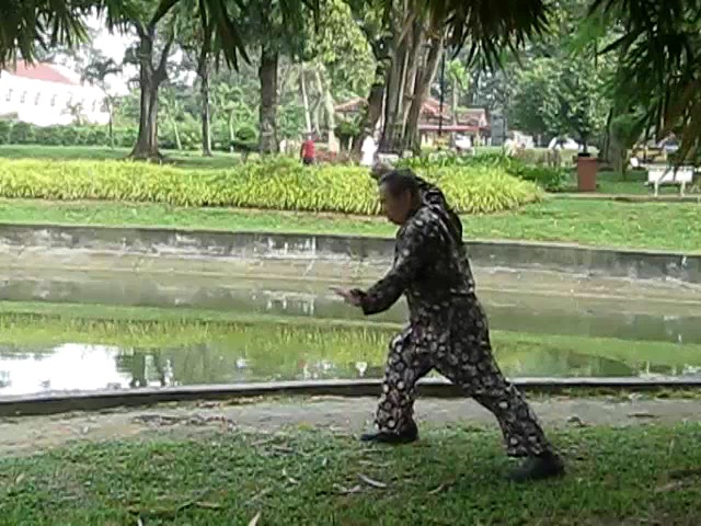 Shaolin 72 Chin-Na Techniques 2015